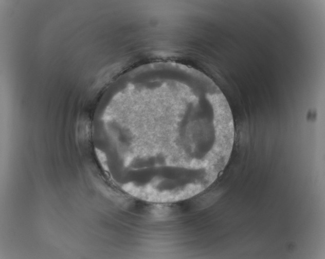 X0000112100623200909151201