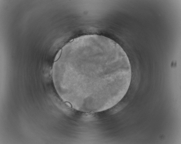 X0000112100624200909151201