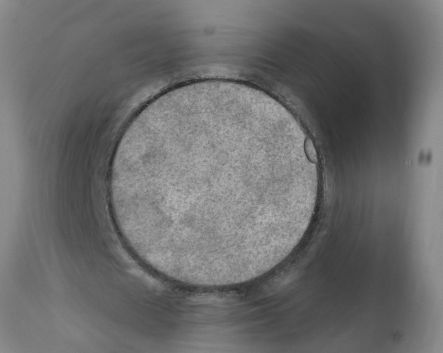 X0000112100625200909151200