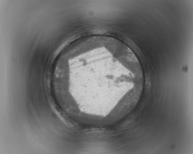 X0000112100626200909151200