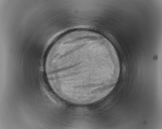 X0000112100628200909151200
