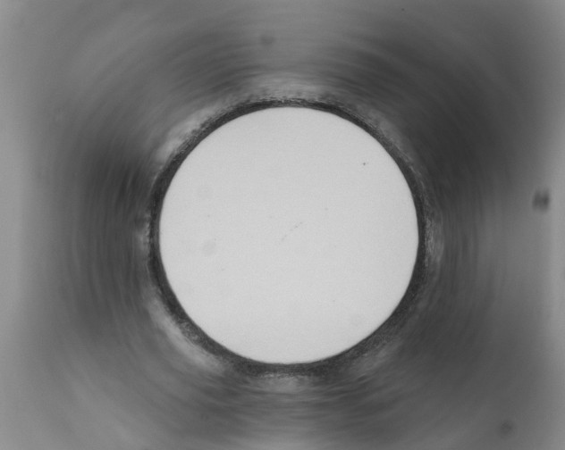 X0000112100629200909151201