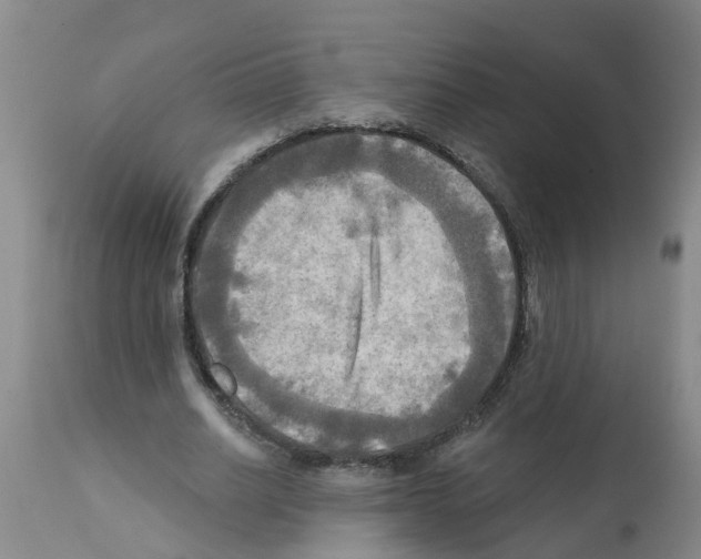 X0000112100630200909151201