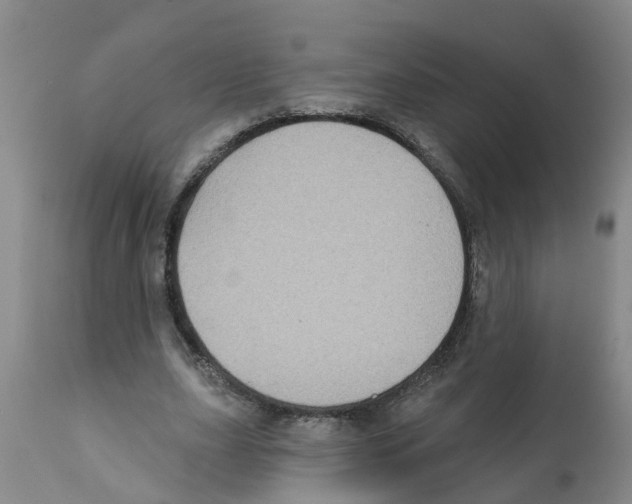 X0000112100631200909151201