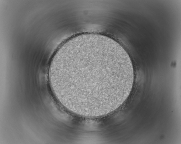 X0000112100632200909151201