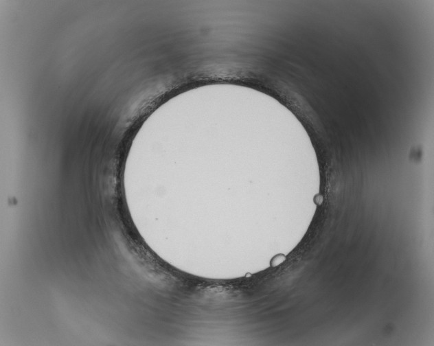 X0000112100635200909151201