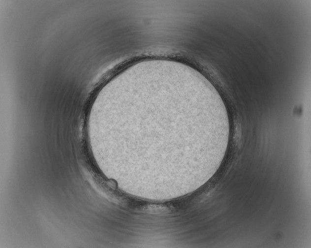X0000112100636200909151201