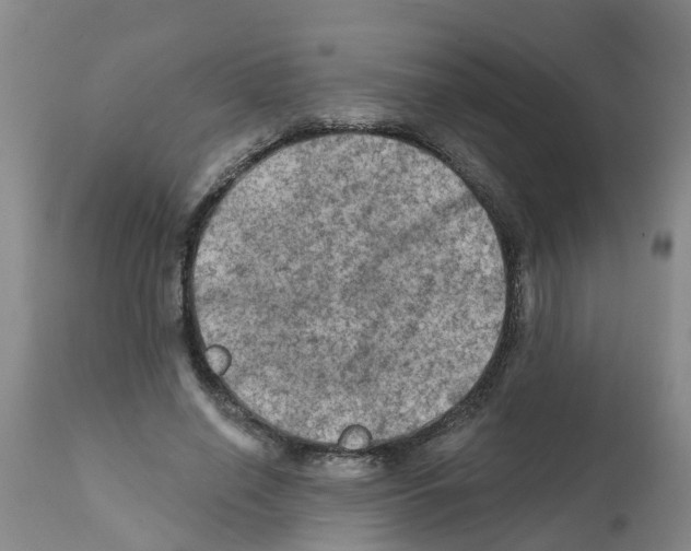 X0000112100638200909151201