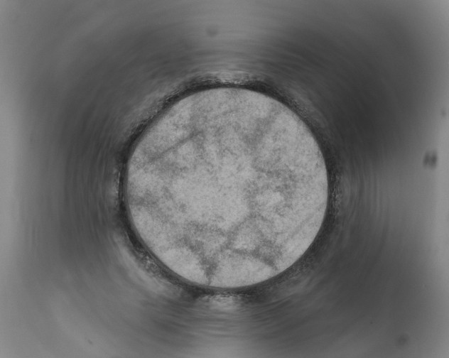 X0000112100639200909151201