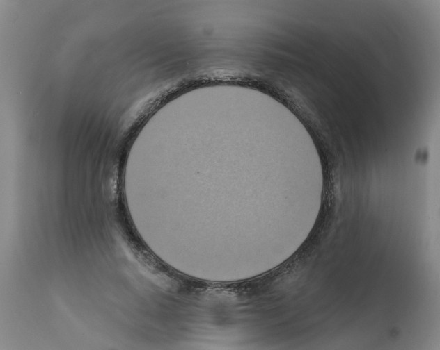 X0000112100640200909151201