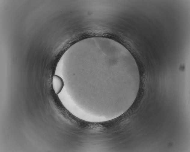 X0000112100642200909151201