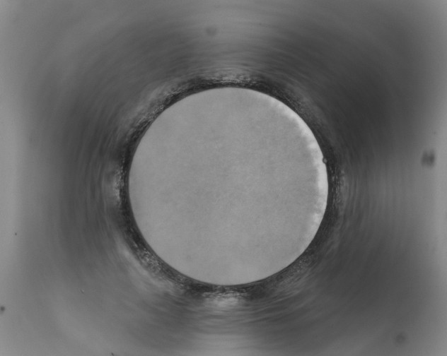 X0000112100643200909151201