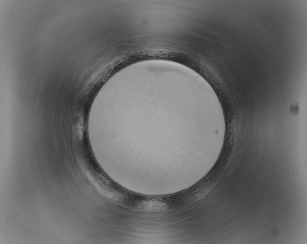 X0000112100644200909151201