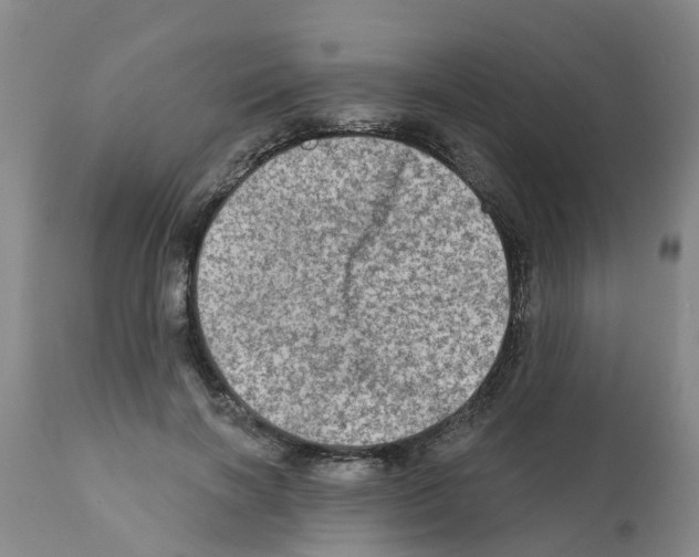 X0000112100646200909151201
