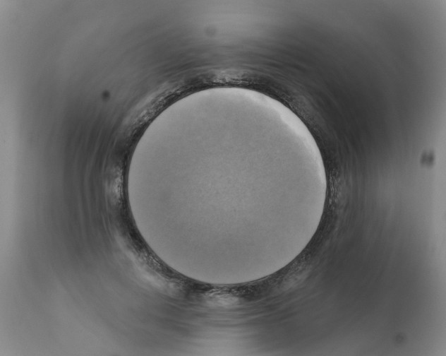 X0000112100648200909151201