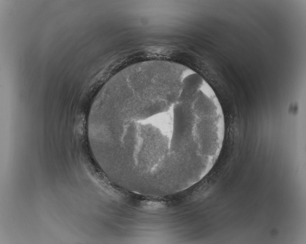 X0000112100649200909151201