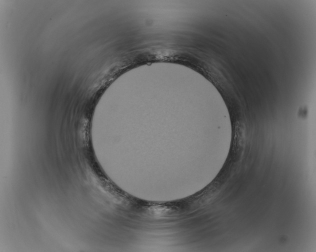 X0000112100650200909151201