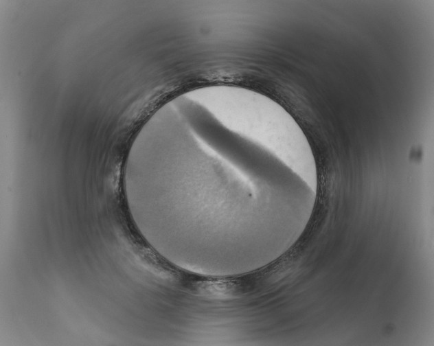 X0000112100652200909151201