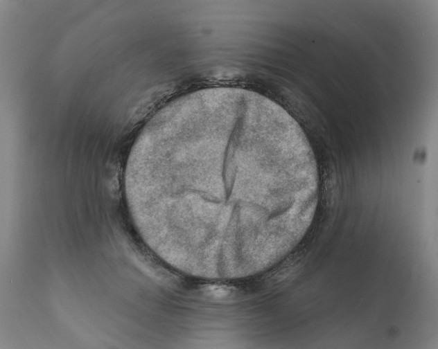 X0000112100654200909151201