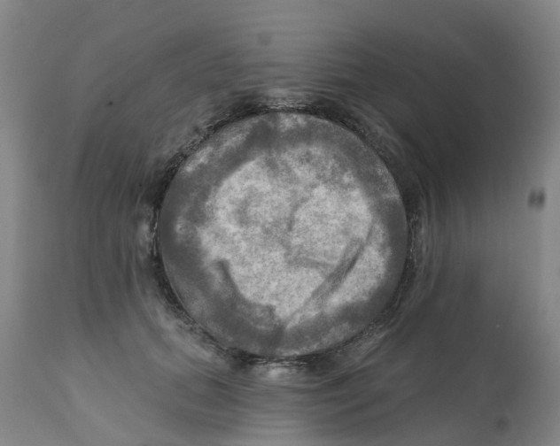 X0000112100655200909151201