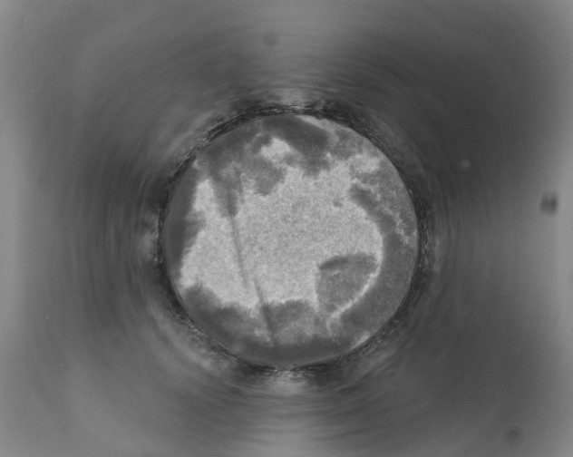 X0000112100656200909151201