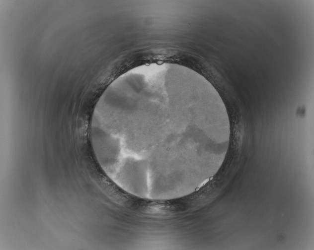 X0000112100657200909151201