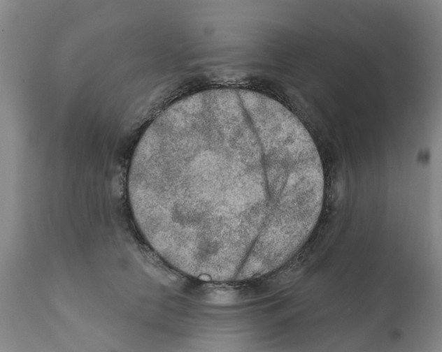 X0000112100658200909151201