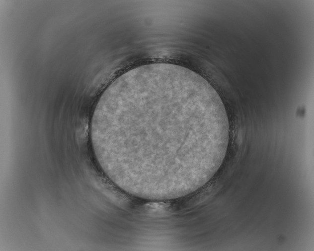 X0000112100660200909151201