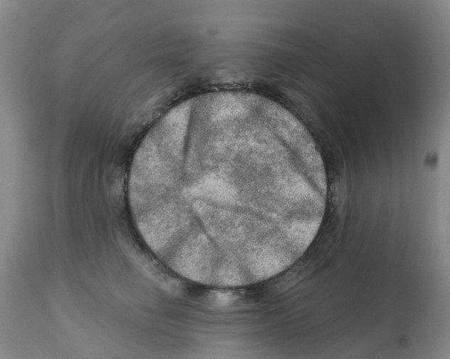 X0000112100662200909151201