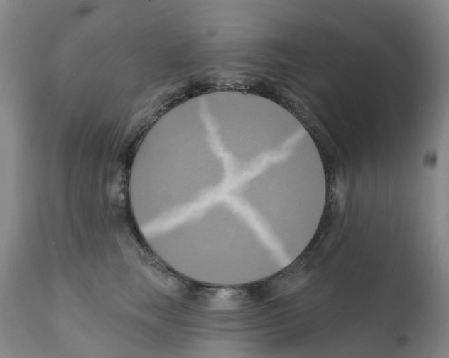 X0000112100663200909151201
