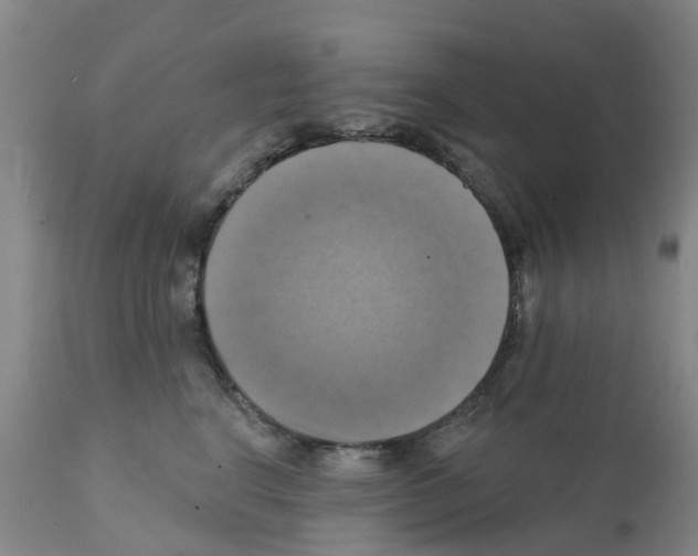 X0000112100664200909151201