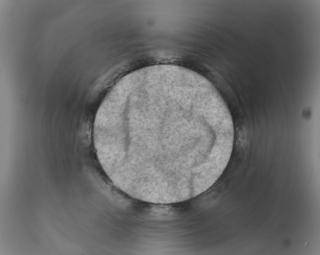 X0000112100666200909151201