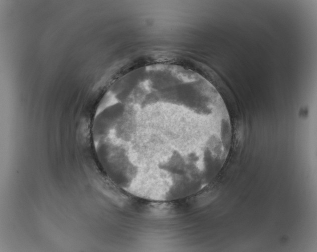 X0000112100667200909151201
