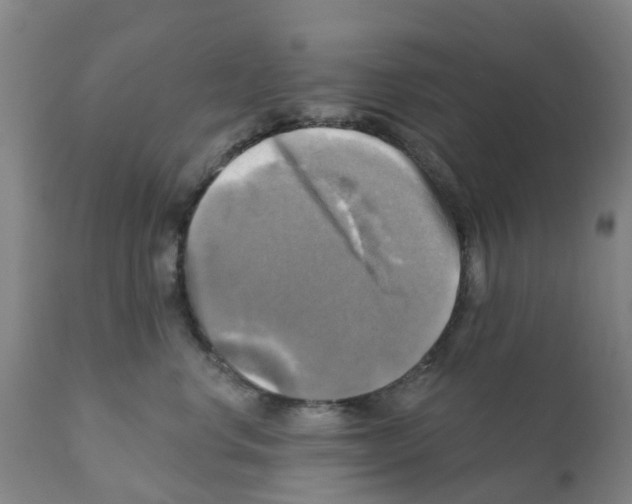 X0000112100668200909151201