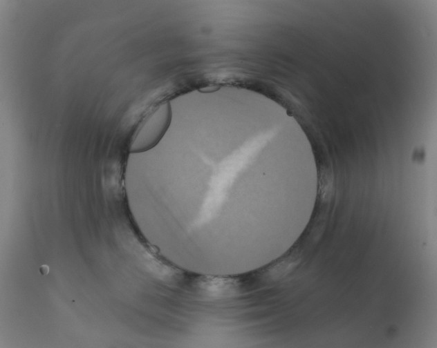 X0000112100670200909151201