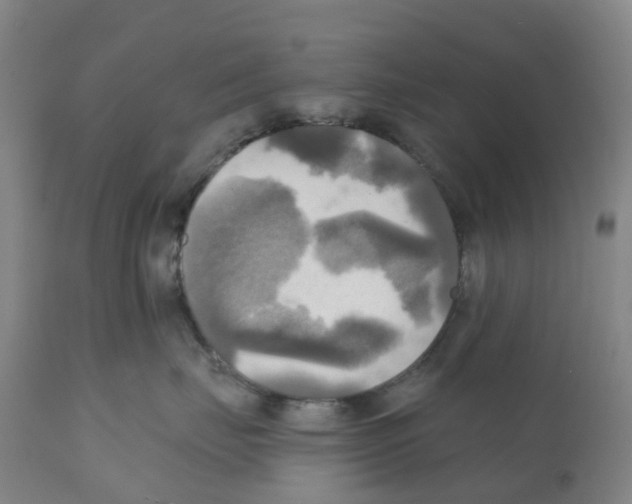 X0000112100671200909151201