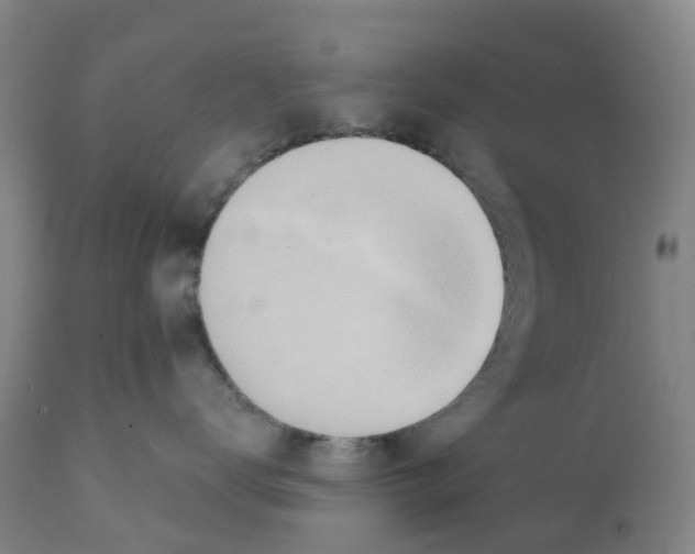 X0000112100672200909151201