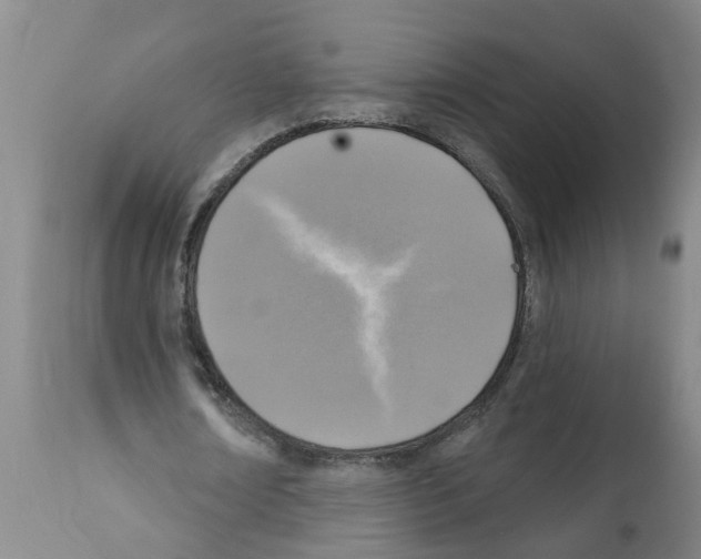 X0000112100674200909151200