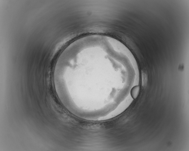 X0000112100675200909151200