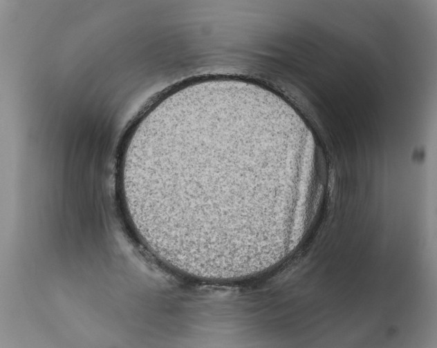 X0000112100676200909151200