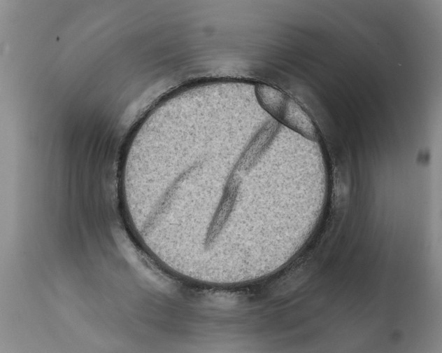 X0000112100677200909151200