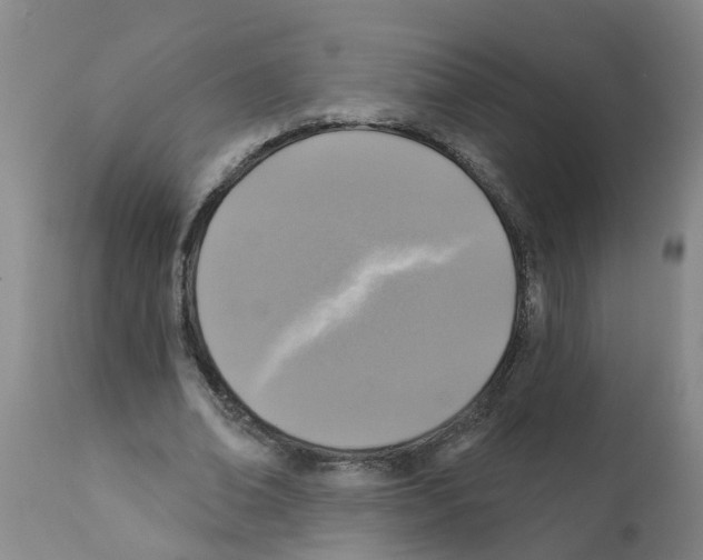 X0000112100678200909151200