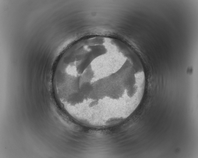 X0000112100679200909151200