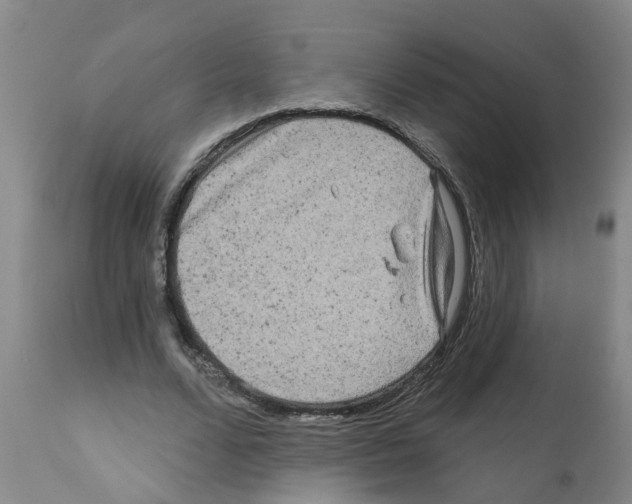 X0000112100680200909151200