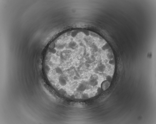 X0000112100683200909151200