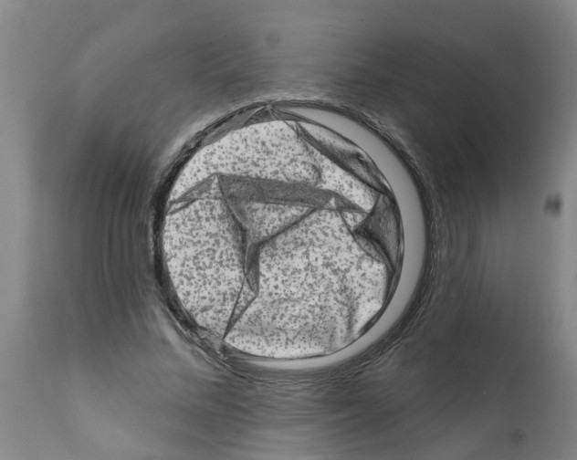 X0000112100684200909151200