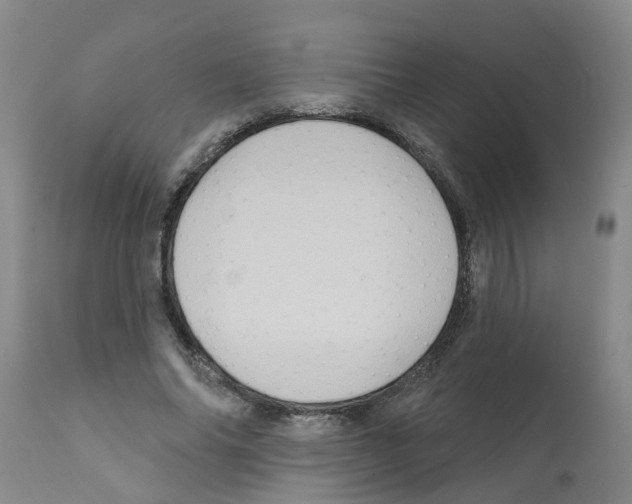 X0000112100686200909151200