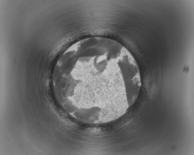 X0000112100687200909151200