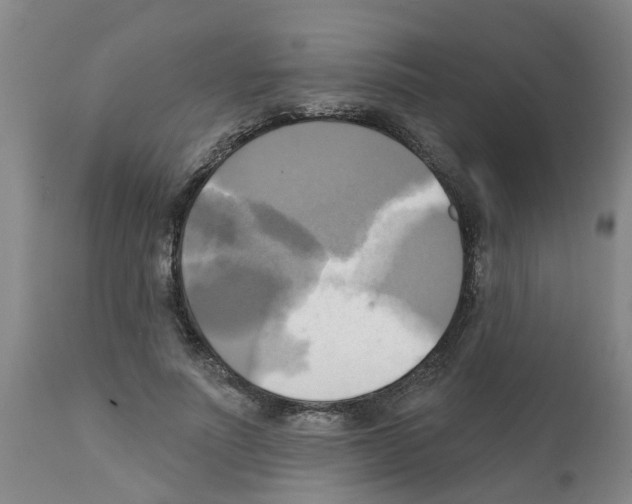 X0000112100691200909151200
