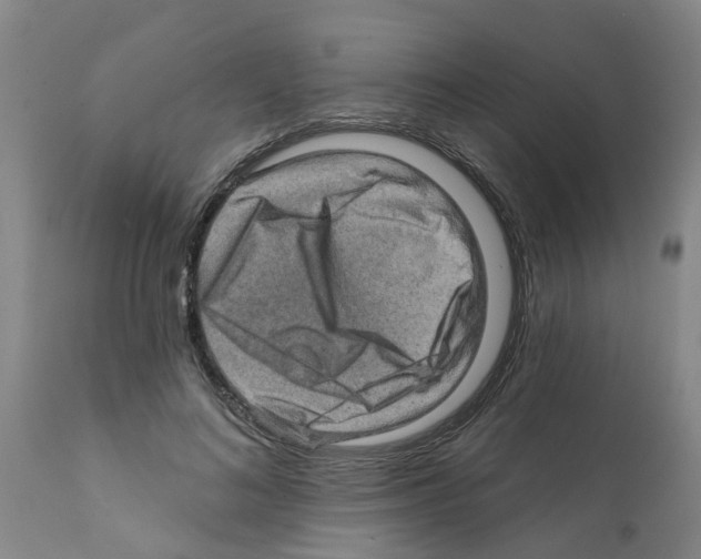 X0000112100692200909151200